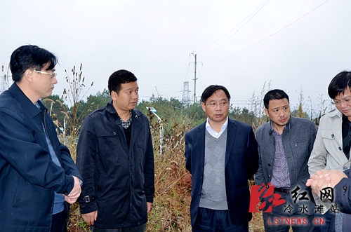 欧阳元初,唐满平一行调研杨家园安置小区建设欧阳元初,唐满平一行调研