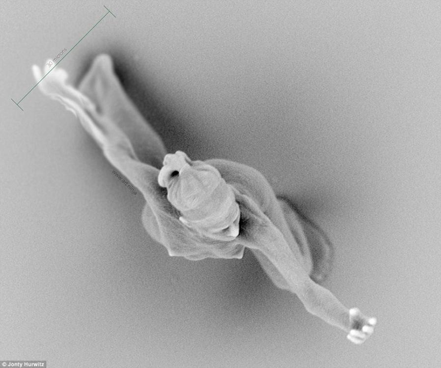 微雕藝術家3d打印納米雕塑 大小隻有頭髮絲一半寬