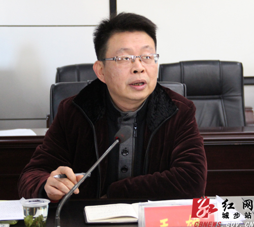 市活动办联络指导第二组组长王雄主持汇报会.肖丁勤 摄