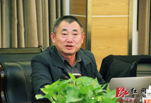 龙山县委书记彭正刚:围绕"两区""三线"打造绿色龙山