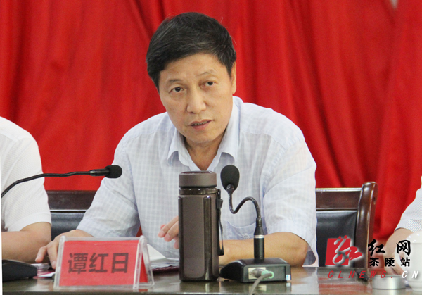 茶陵县"一府两院"专项工作迎接人大代表评议动员会召开_茶陵县_湖南