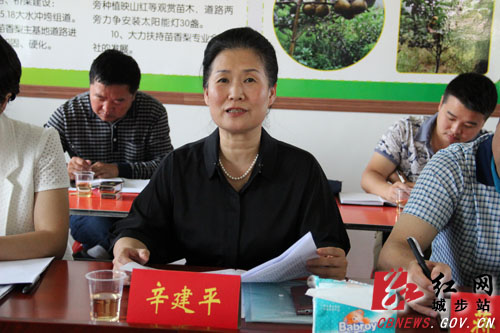 辛建平指导城步县白岩山村扶贫开发工作