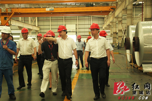 望城区委书记李蔚,区委副书记,区长孔玉成,区领导莫金文,张权,余学辉