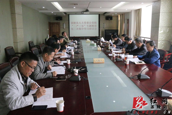 茶陵县人大召开"三严三实"专题教育第三次研讨会