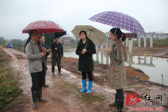 石鼓区委副书记,区长黄辉实地考察防汛工作