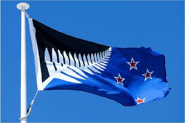 新西兰新国旗公投,黑蓝银蕨脱颖而出(图片来源:英国媒体)