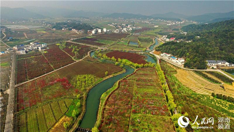 湖南莲花镇图片