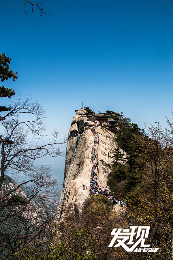 华山鱼脊背图片图片