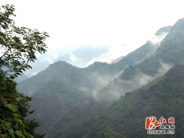 记者行走在湖南省凤凰县茶田镇塘坳村,只见云雾弥漫在山间,路径房舍