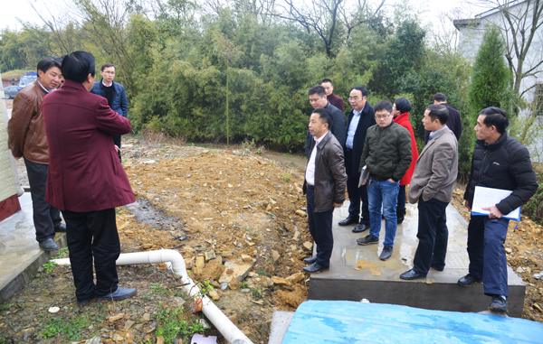 区委副书记,区长桂砺锋在上岭桥镇卫东村实地查看污水处理设施红网