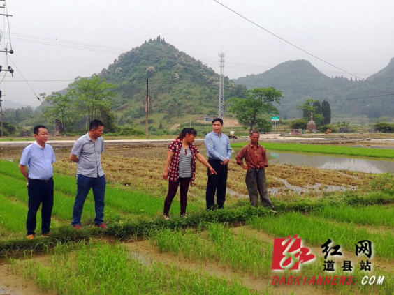 你为我送来了及时雨,谢谢您啊"5月7日,湖南省道县寿雁镇新湾村