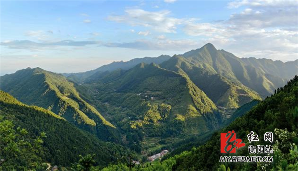 四明山森林公园 王祖勇摄