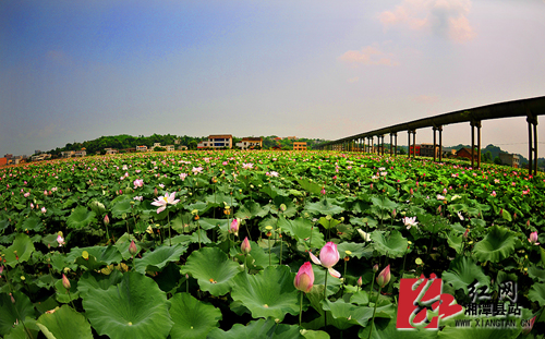 湘潭县花石镇入选第二批全国特色小镇