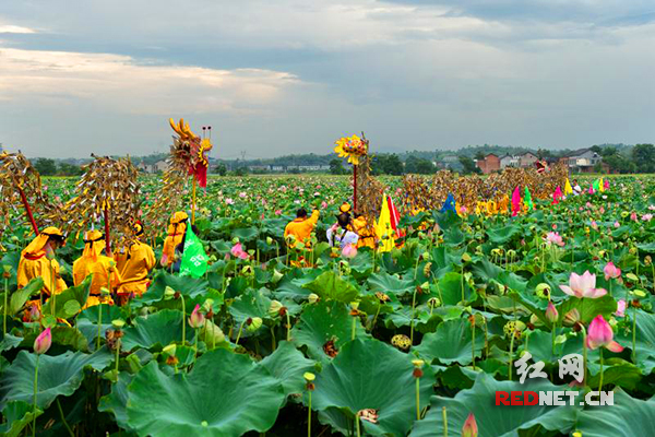 衡阳稻草龙图片