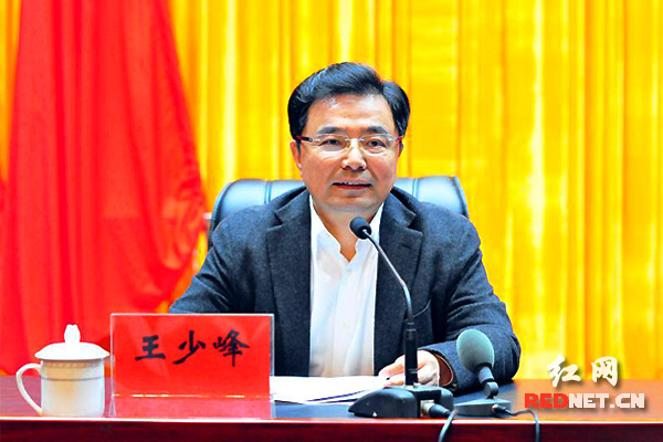 湖南省委组织部长图片