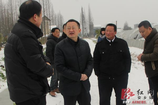 市州聚焦 常德 安乡县 正文      周宏林来到三