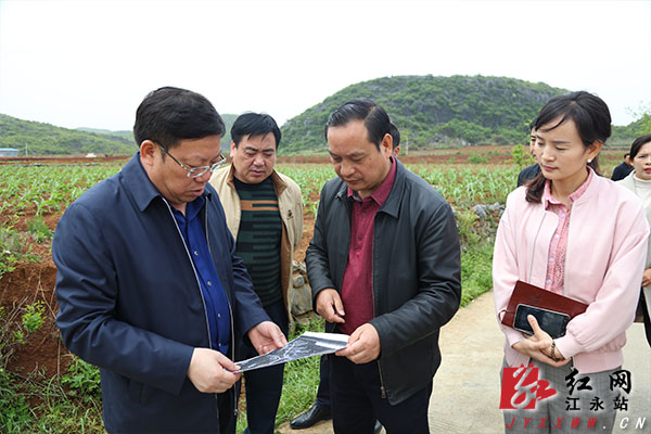 江永縣委書記周立夫對比規劃圖紙詳細瞭解項目的整體規劃.