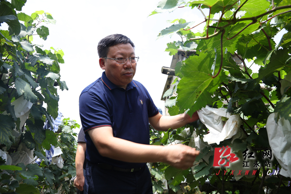 江永:周立夫深入乡镇调研"三大攻坚战"推进情况