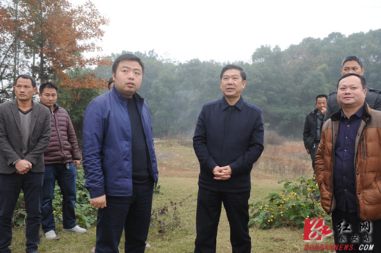 东安县委书记冯德校带领相关部门负责人深入川岩乡端桥铺镇调研水利